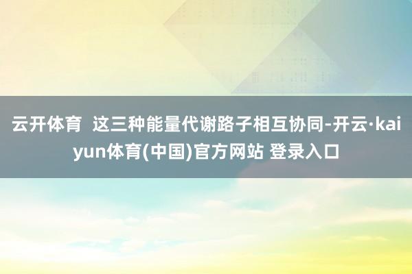 云开体育  这三种能量代谢路子相互协同-开云·kaiyun体育(中国)官方网站 登录入口